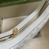 Gucci Ophidia GG mini bag