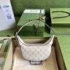 Gucci Ophidia GG mini bag