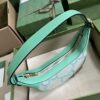 Gucci Ophidia GG mini bag
