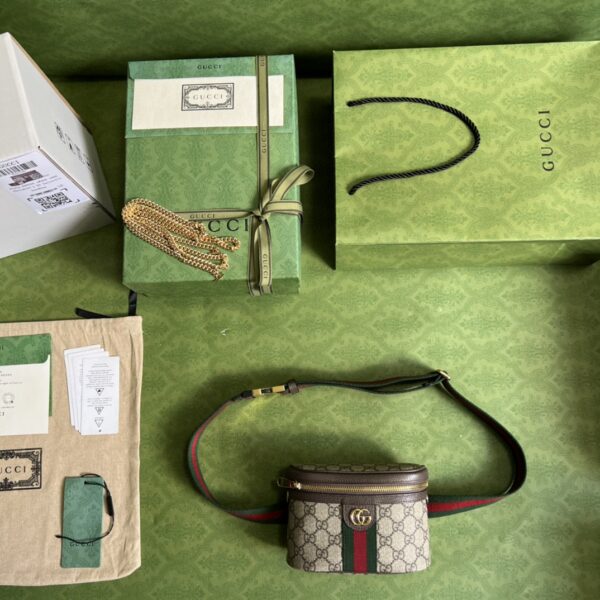 Gucci Ophidia GG belt bag