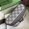 Gucci Ophidia GG belt bag