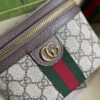 Gucci Ophidia GG belt bag