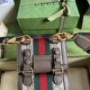 Gucci Ophidia GG mini bag and detachable wallet