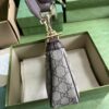 Gucci Ophidia GG small handbag