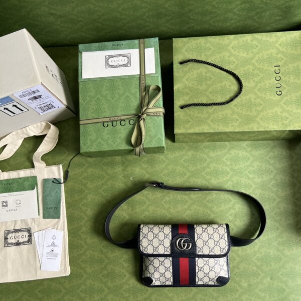 GUCCI Ophidia belt bag