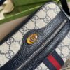 GUCCI Ophidia GG Supreme mini bag