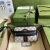 GUCCI Ophidia GG Supreme mini bag