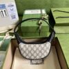 GUCCI Ophidia GG mini bag