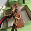 Gucci Camera bag
