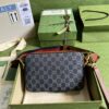 Gucci Camera bag