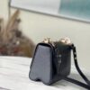 Louis Vuitton Twist MM