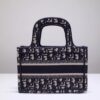 Dior Book Tote Mini
