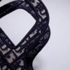 Dior Book Tote Mini