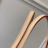 Louis Vuitton Neverfull PM
