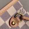 Louis Vuitton Neverfull PM