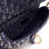 Dior Saddle Blue