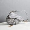 Dior Saddle