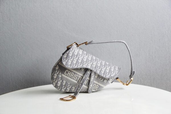 Dior Saddle