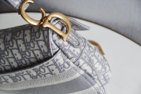 Dior Saddle