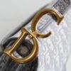 Dior Saddle