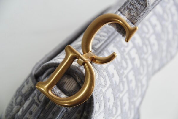 Dior Saddle