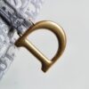Dior Saddle