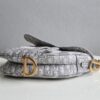 Dior Saddle