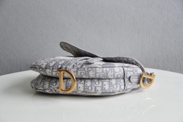 Dior Saddle