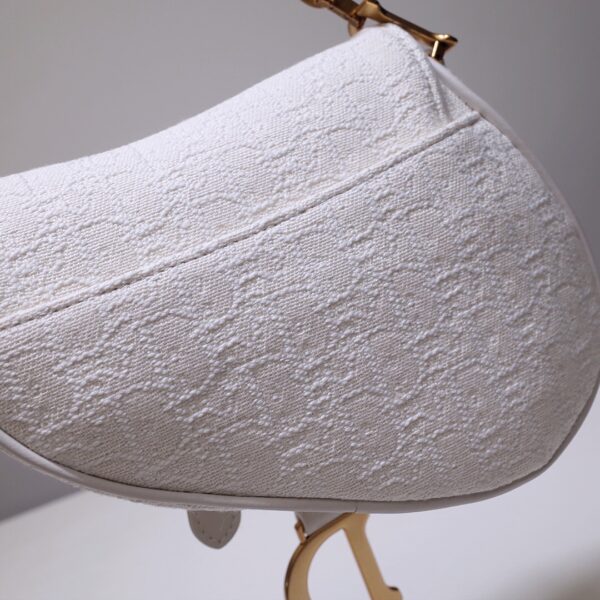 Dior Saddle