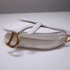 Dior Saddle
