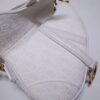 Dior Saddle