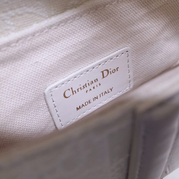 Dior Saddle