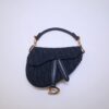 Dior Saddle