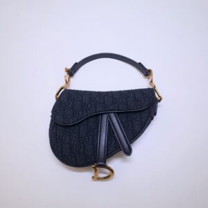 Dior Saddle