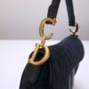 Dior Saddle