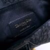 Dior Saddle