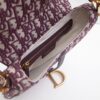 Dior Saddle