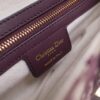 Dior Saddle