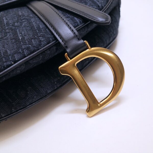 Dior Saddle