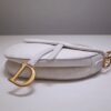 Dior Saddle
