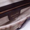 Dior Saddle