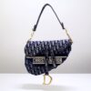 Dior Saddle