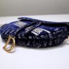 Dior Saddle
