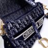 Dior Saddle
