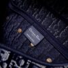 Dior Saddle