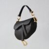 Dior Saddle Mini