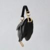 Dior Saddle Mini