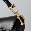 Dior Saddle Mini