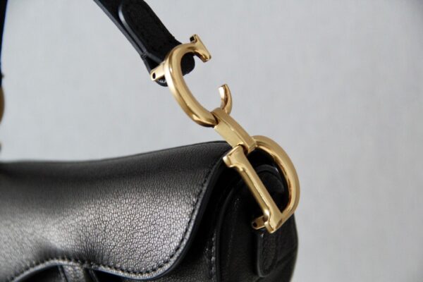 Dior Saddle Mini