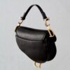 Dior Saddle Mini